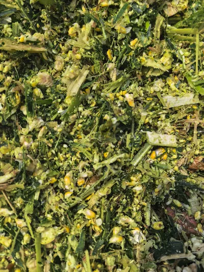 ما هي نقاط القوة الأساسية التي تجعل شركة Yiman Agriculture المورد المثالي لمشاريع استيراد الكرنب المخلل بالجملة؟