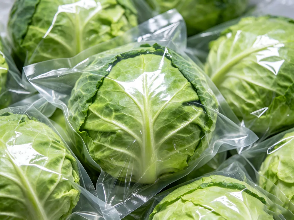 Vacuum Packed Fresh Cabbage